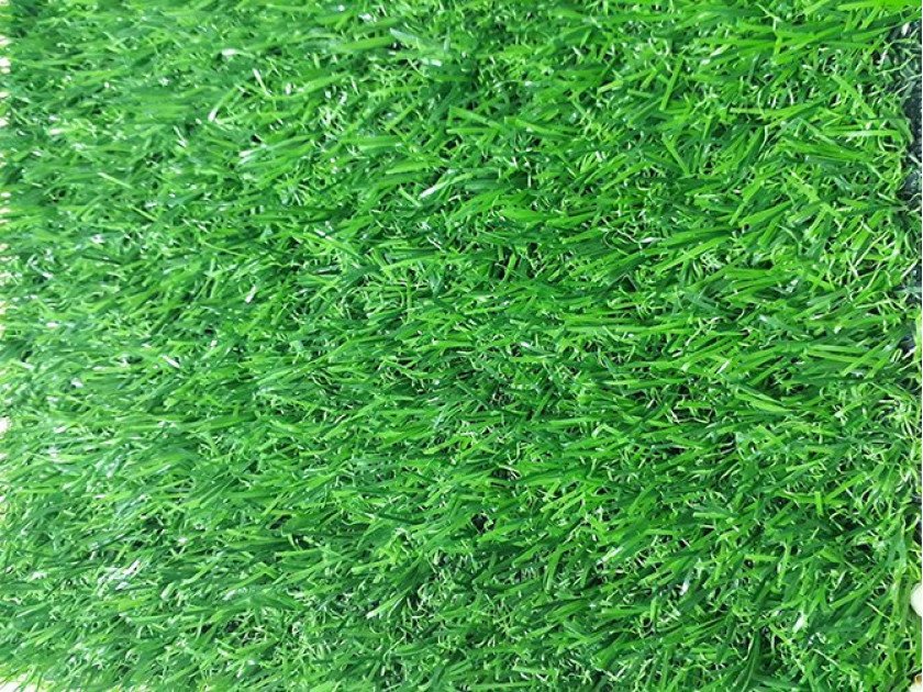 co-nhan-tao-ptn-m25-1-840x630-1 Cỏ nhân tạo PTN-M25