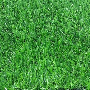 Cỏ nhân tạo PTN-M25