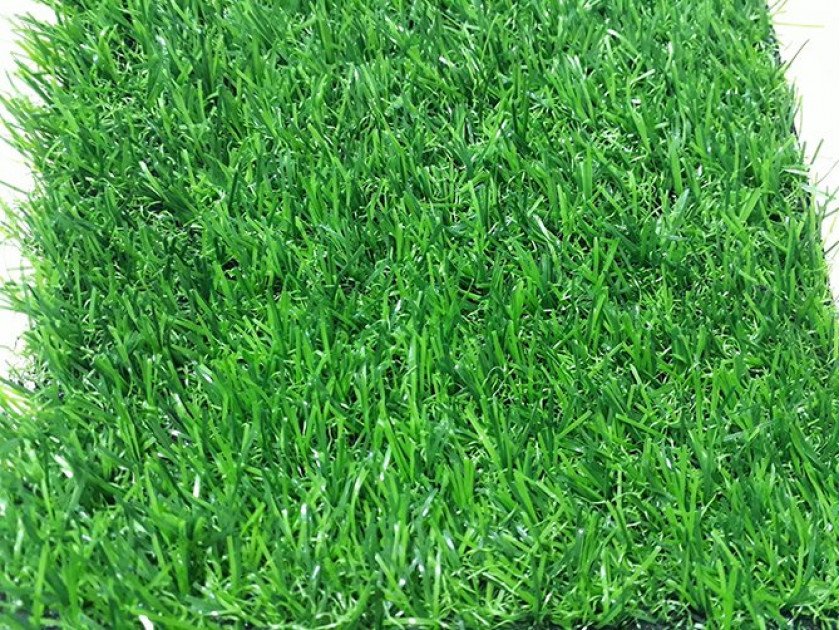 co-nhan-tao-ptn-m25-4-840x630-1 Cỏ nhân tạo PTN-M25