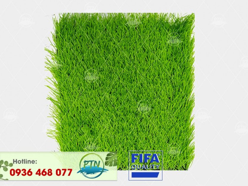 ptn-m18-840x630-1-1