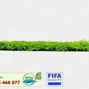 Cỏ nhân tạo PTN-M6