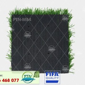 Cỏ nhân tạo PTN-M84