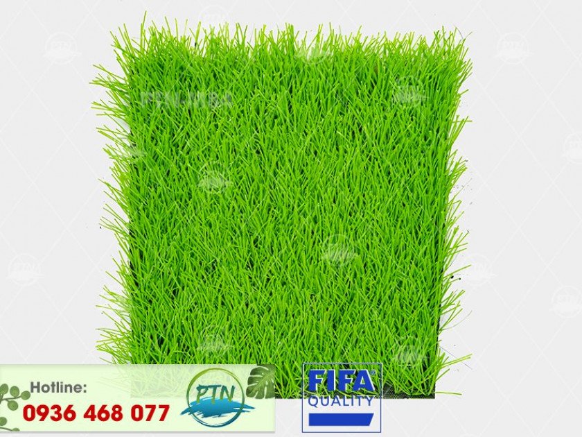 ptn-m84-840x630-2-4 Cỏ nhân tạo PTN-M84