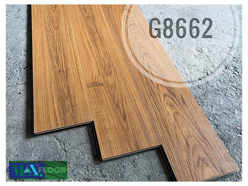 G8662-840x630