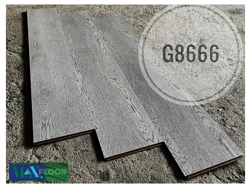 G8666-840x630