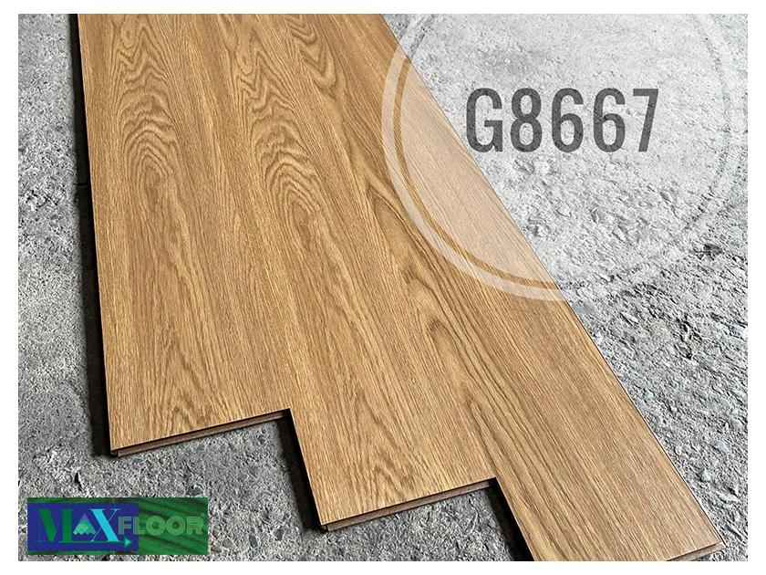 G8667-840x630