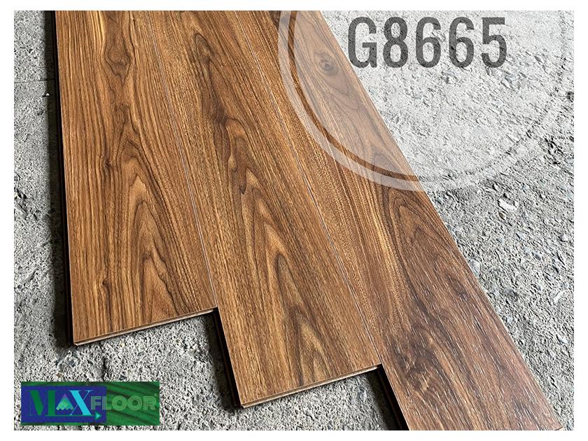g8665-840x630